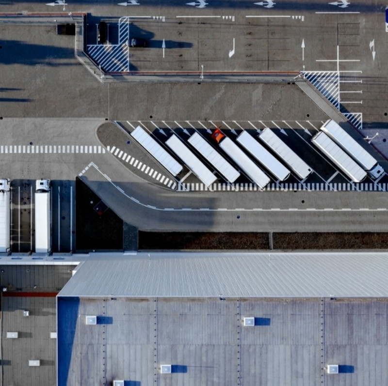 distribuzione tms sima